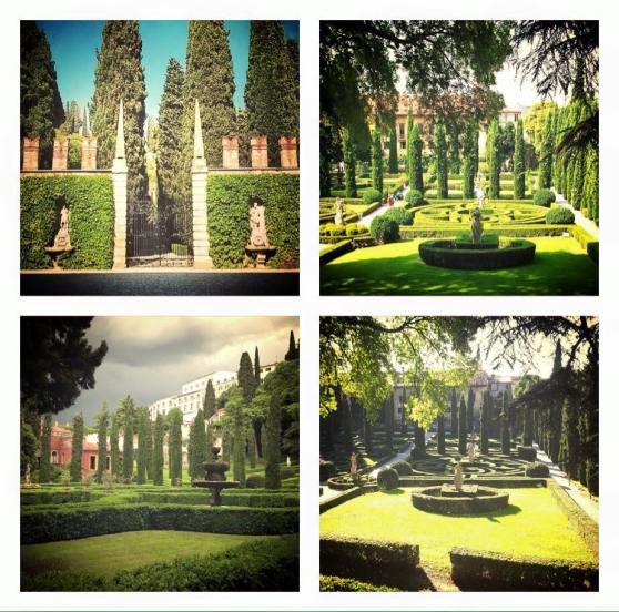 12002128_10207558224694774_7848149602062378953_n